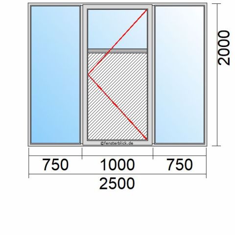 Nebeneingangstür mit Füllung 2500x2000mm DR Zwei Seitenteile schematische Zeichnung